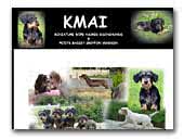 Kmai Miniature Wire-Haired Dachshunds & Petite Bassett Griffon Vendeen