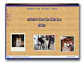 Knoxvila shiba inus and akitas
