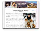 Ata Ruma Collie rough kennel