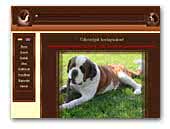 Körösvölgyi-Bernát Saint Bernards