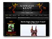 Schwarze Kraft