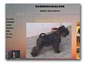 Kennel Haus Rubini's miniatureschnauzer