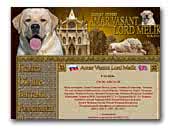 Amar Vasant Lord Melik Labrador Retriever