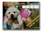 Labradory z Janiej Gory FCI