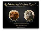 Web - Design by Maestral