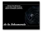 de la Schumeraie