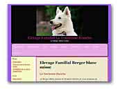 Elevage Familial La tendresse Blanche Berger Blanc Suisse