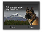 Leigas Paw american akita