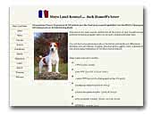 Mayo Land Jack russell
