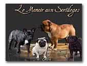 Le Manoir aux Sortilèges