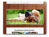 leolv.weebly.com