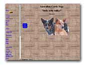 little willy willys - Australian Cattle Dogs