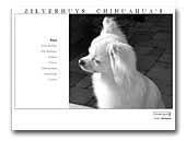 ZilverHuys Chihuahua's