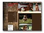 Lohngarten Irish Red Setter