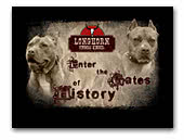 Congelatori orizzontali a prezzi