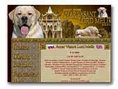 Kennel Favorit Style