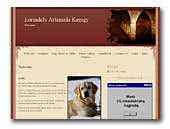 Lorindely Artemida Kenigy