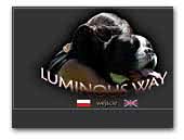 Luminous Way Boxer kennel