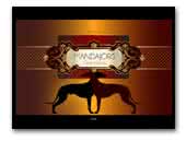 Mandajors Greyhounds