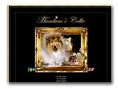 Mandane's Collies
