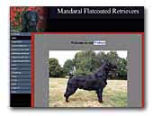 Mandaral Flatcoated Retrievers