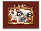 z Ismiru