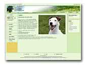 MayaBor Parson Russell Terrier