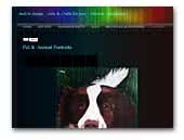 melOn-design.weebly.com