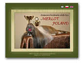 Kennel Merlot Poland FCI