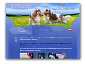 Milmond - Cavalier King Charles Spaniel