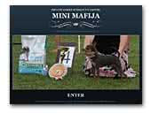 Kennel Mini Mafija