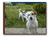 MisJacks