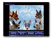 Sunratz Rat Terriers
