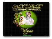 Black and White