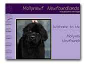 Mollynewf Newfoundlands