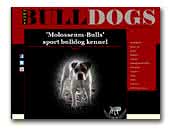Molosseum-Bulls