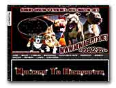 Dutchpitbulls
