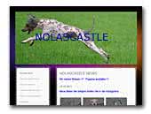 Nolascastle American Hairless Terrier