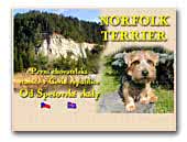 <b>od Spešovské Skály Kennel Norfolk terrier