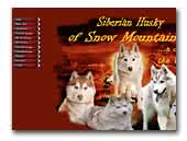 of Snow Mountain's Siberian Husky