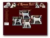 Of Roman Hill Parson Russell Terrier