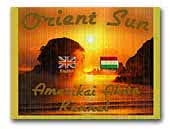 Orient Sun American Akitas