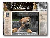 Orikin's Border Terrier