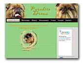 Paradise Dream Griffon Bruxellois