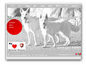 iceberger kennel