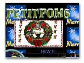 Petit Poms chihuahua