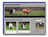 Plaisance Smooth Collies