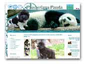 Plushevaya Panda