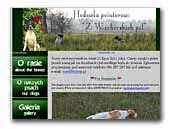Z Wiecborskich pol - Pointer Breed
