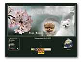 AllMax pom - Kennel pomeranian